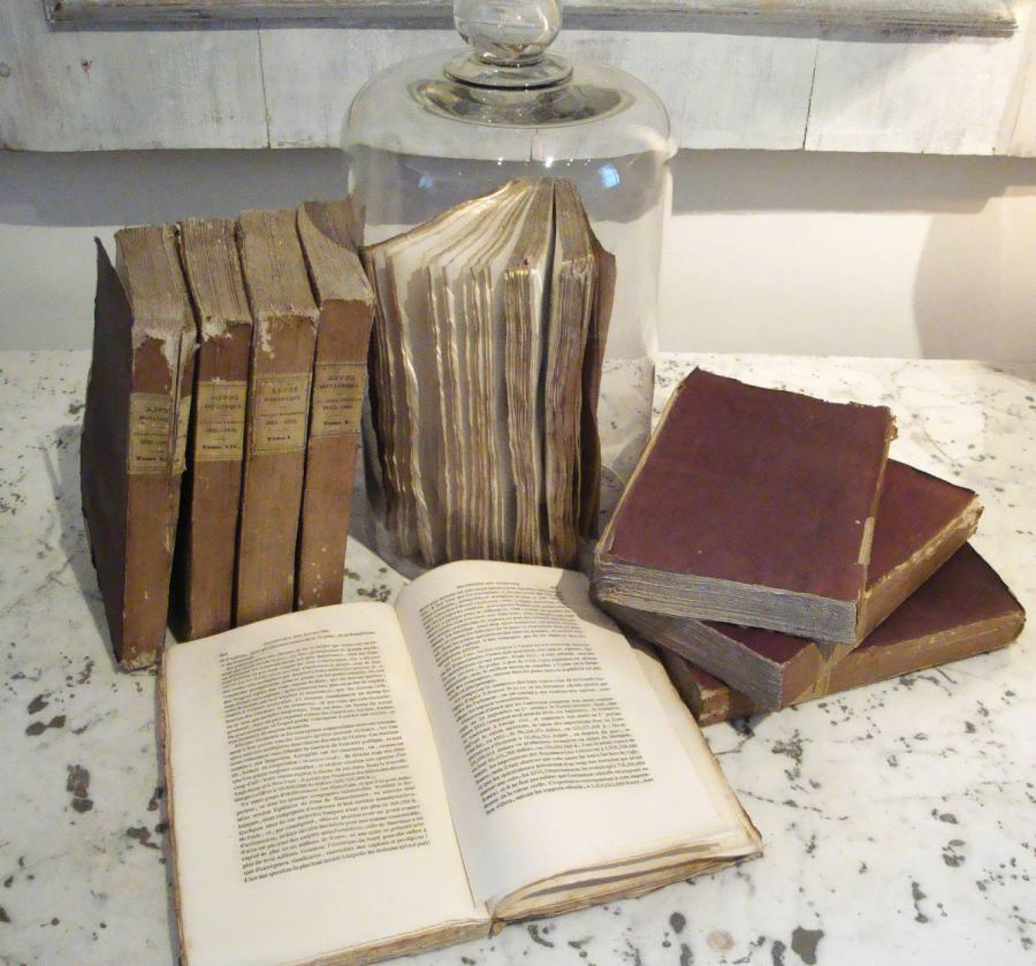 Set of 9 19th century French Purple Books