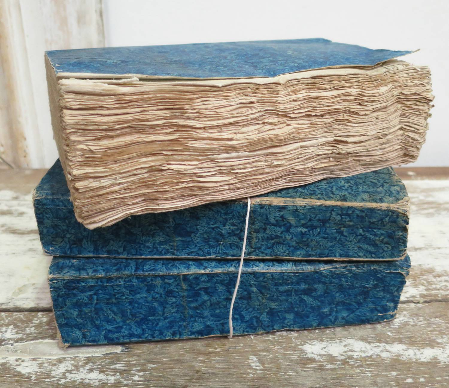 Set of 3 thick French 19th c Blue Books