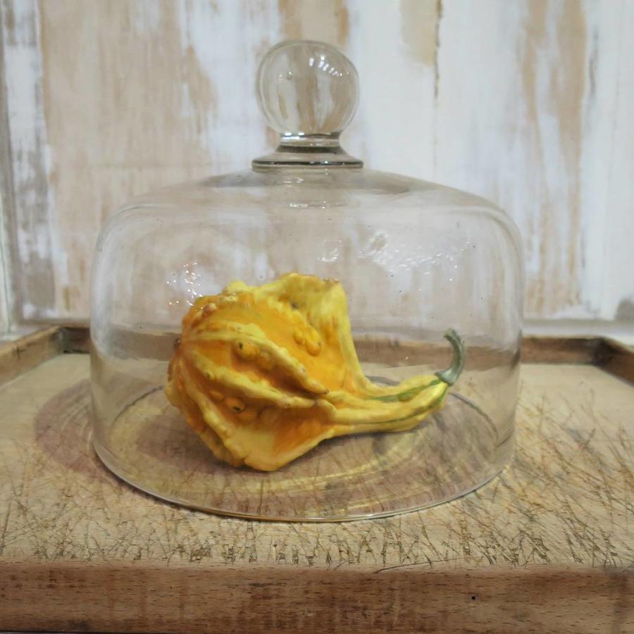 Large 19th c Glass Cheese Bell