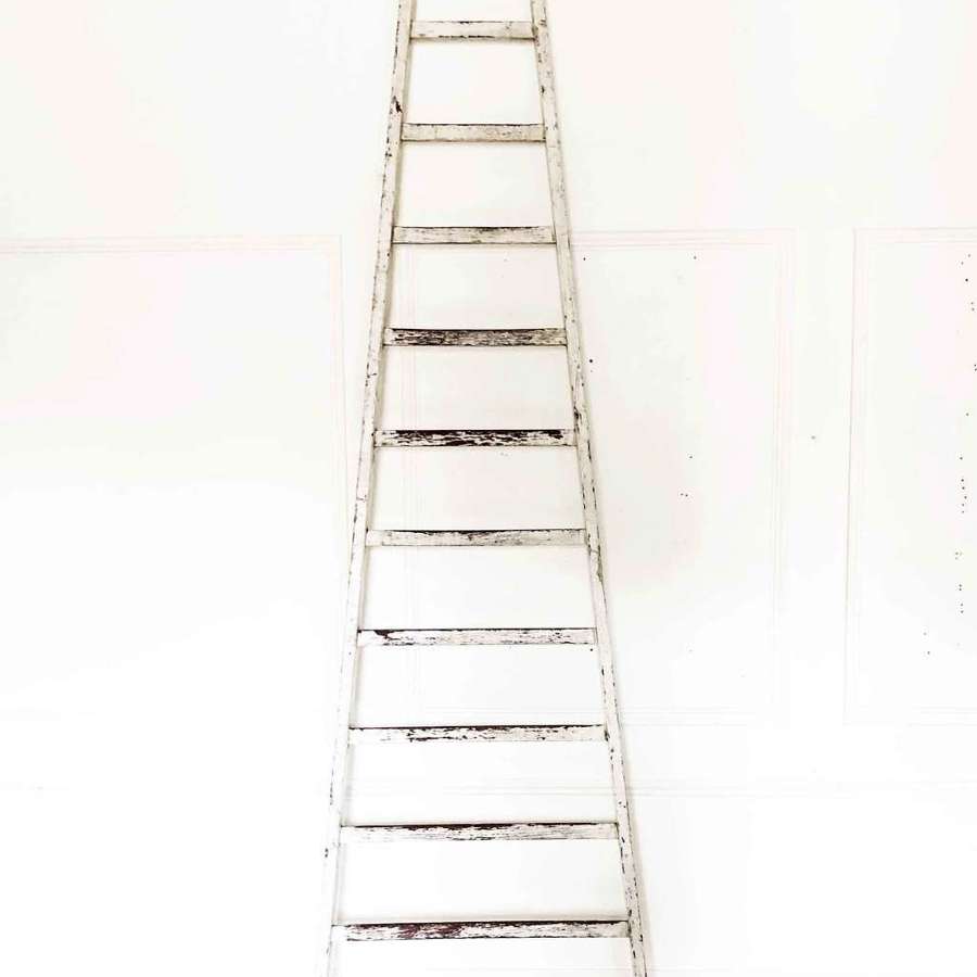 Old French orchard ladder