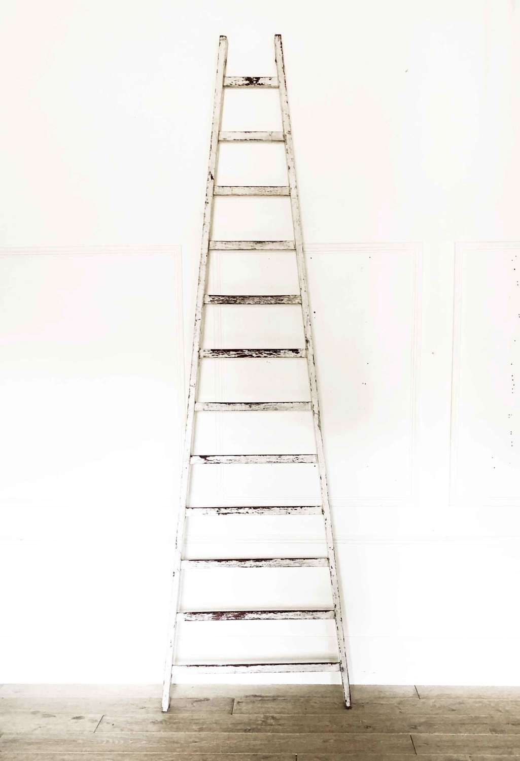 Old French orchard ladder