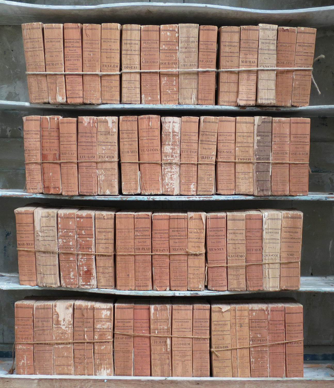 Collection 19th c French terracotta coloured antique books