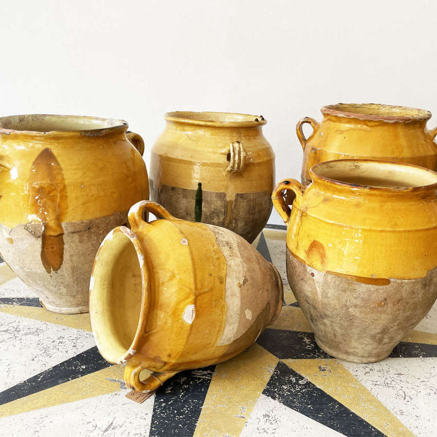 Collection of French early 19th century Confit Jars - circa 1840