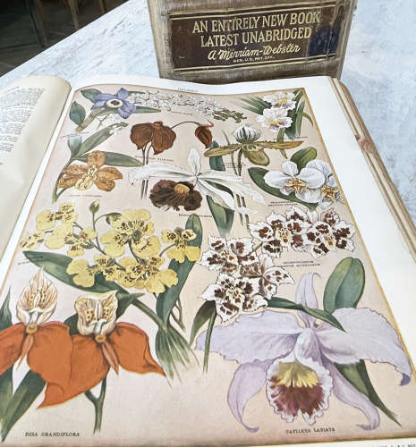 2 huge volumes of Websters Dictionary - Printed 1942