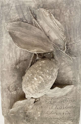 Set of 9 18th c Botanical Plaster Bas-Reliefs - Circa 1780