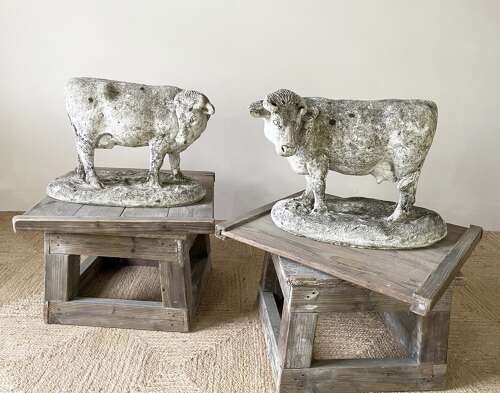Pr. Early 20th c French Stone Cows - c 1910