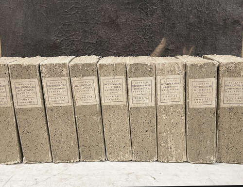Set 9 French 19th c 'Dictionaries d'Histoire Naturelle' - c.1803