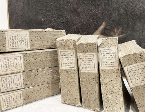 Set 9 French 19th c 'Dictionaries d'Histoire Naturelle' - c.1803