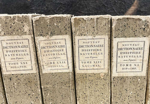 Set 9 French 19th c 'Dictionaries d'Histoire Naturelle' - c.1803
