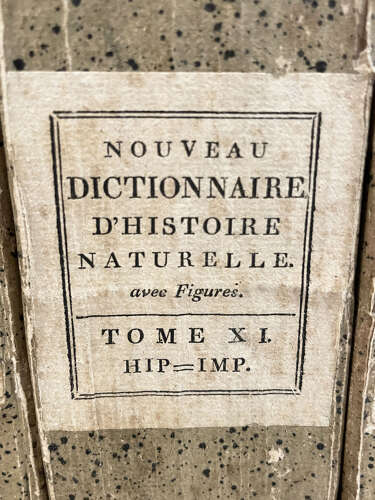Set 9 French 19th c 'Dictionaries d'Histoire Naturelle' - c.1803