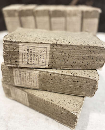 Set 9 French 19th c 'Dictionaries d'Histoire Naturelle' - c.1803