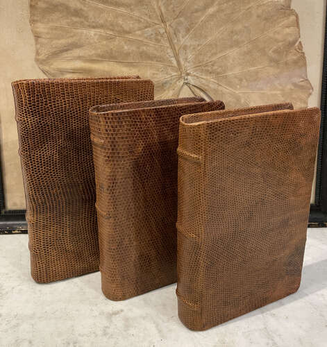 Set 3 French Snake Skin bound Books - c.1940