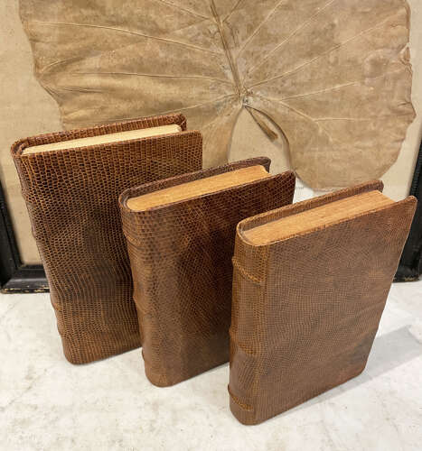 Set 3 French Snake Skin bound Books - c.1940