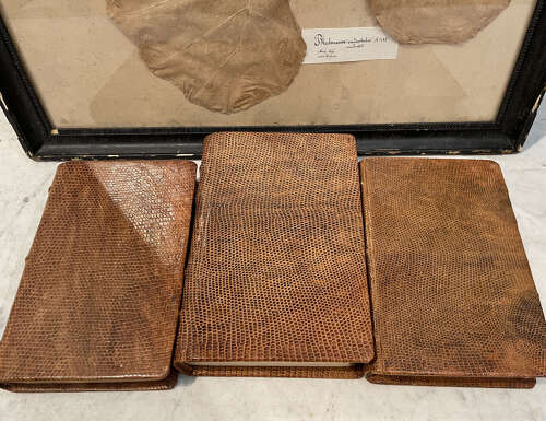 Set 3 French Snake Skin bound Books - c.1940